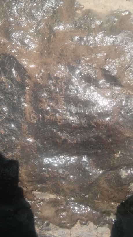 الشرعي موكل 11